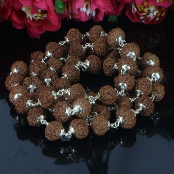 10 Mukhi Rudraksha Mala - Silver