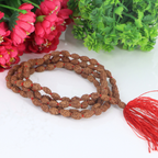 2 Mukhi Rudraksha Mala