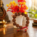 Bracelet for Wealth & Abundance featuring authentic 3 Mukhi, 4 Mukhi, 5 Mukhi, 6 Mukhi, and 7 Mukhi Rudraksha beads, designed for prosperity, positivity, and spiritual balance."