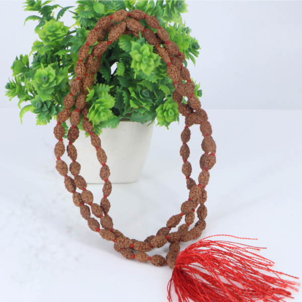 2 Mukhi Rudraksha Mala