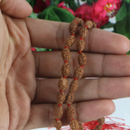 2 Mukhi Rudraksha Mala
