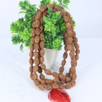 3 Mukhi Rudraksha Mala