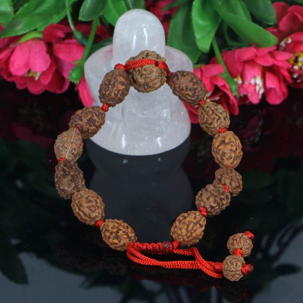 "Premium 3 Mukhi Rudraksha Bracelet with original Nepali and Indonesian Rudraksha beads, crafted for spiritual significance and traditional elegance."