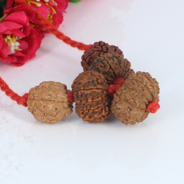 "Premium Rudraksha Kavach for Navgrah Shanti with original 3 Mukhi, 5 Mukhi, 10 Mukhi, 11 Mukhi, and 12 Mukhi Rudraksha beads, crafted with spiritual significance and traditional elegance."