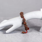 3 Mukhi Rudraksha Bracelet -Nepali