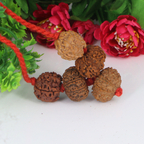 "Premium Rudraksha Kavach for Navgrah Shanti with original 3 Mukhi, 5 Mukhi, 10 Mukhi, 11 Mukhi, and 12 Mukhi Rudraksha beads, crafted with spiritual significance and traditional elegance."