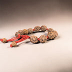 3 Mukhi Rudraksha Bracelet -Nepali