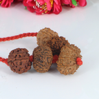 "Premium Rudraksha Kavach for Navgrah Shanti with original 3 Mukhi, 5 Mukhi, 10 Mukhi, 11 Mukhi, and 12 Mukhi Rudraksha beads, crafted with spiritual significance and traditional elegance."
