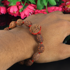 "Premium 3 Mukhi Rudraksha Bracelet with original Nepali and Indonesian Rudraksha beads, crafted for spiritual significance and traditional elegance."