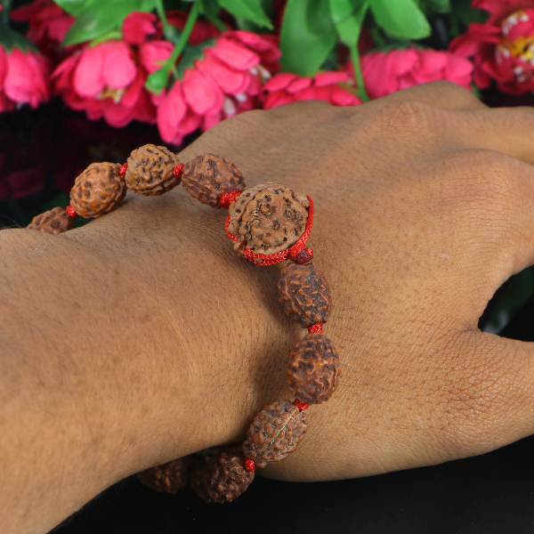 "Premium 3 Mukhi Rudraksha Bracelet with original Nepali and Indonesian Rudraksha beads, crafted for spiritual significance and traditional elegance."