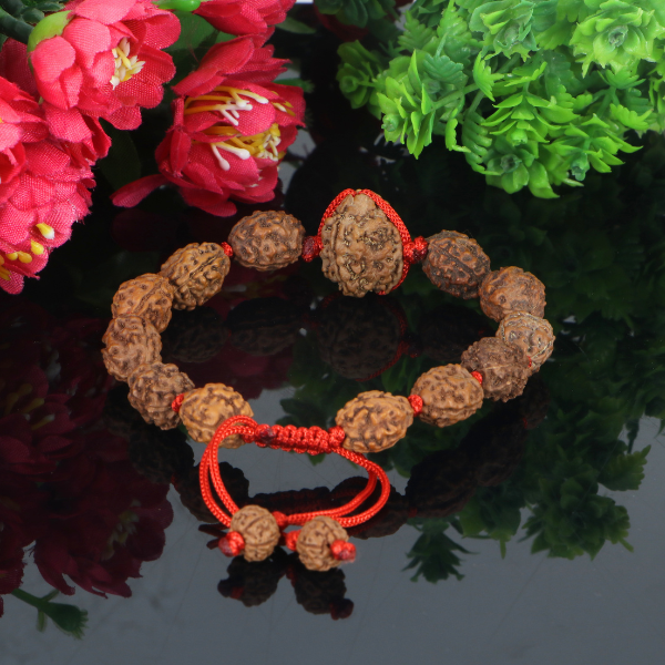 "Premium 3 Mukhi Rudraksha Bracelet with original Nepali and Indonesian Rudraksha beads, crafted for spiritual significance and traditional elegance."