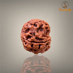 4 MUKHI RUDRAKSHA (SMALL )- NEPALI BEAD