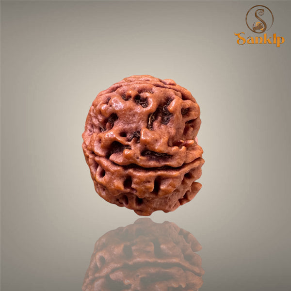 4 MUKHI RUDRAKSHA (SMALL )- NEPALI BEAD