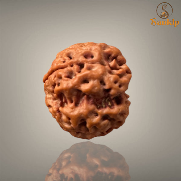4 MUKHI RUDRAKSHA (SMALL )- NEPALI BEAD
