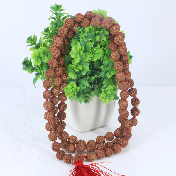 5 Mukhi Rudraksha Mala