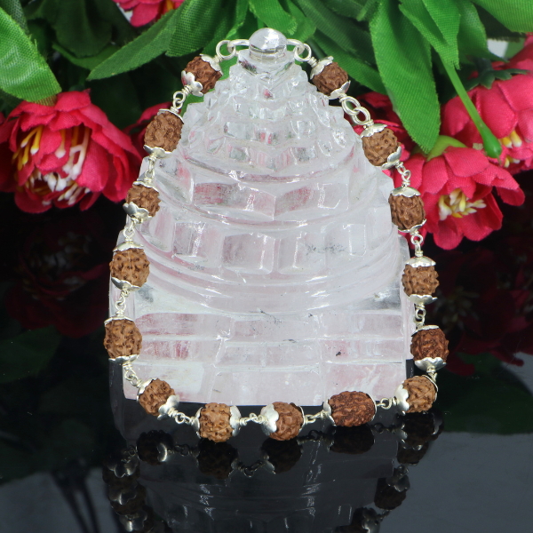 4 Mukhi Rudraksha Bracelet