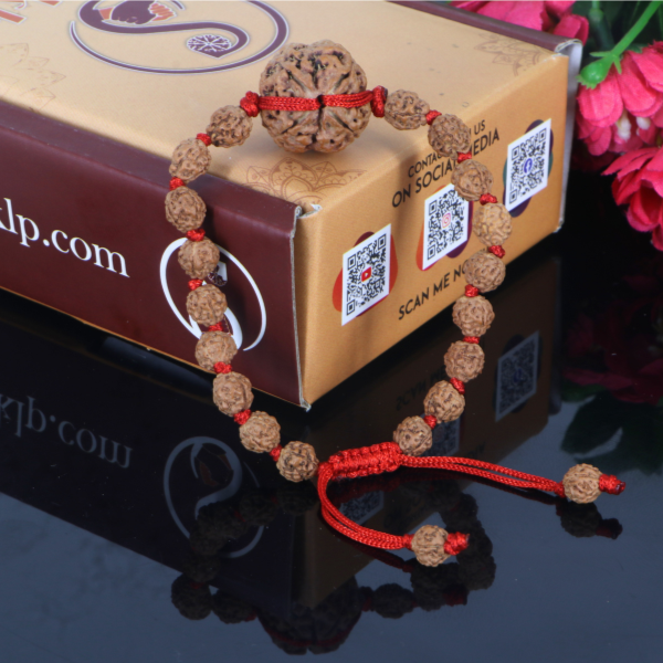"Premium 4 Mukhi Rudraksha Bracelet with original Nepali and Indonesian Rudraksha beads, crafted for spiritual significance and traditional elegance."