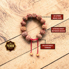 5 Mukhi Rudraksha Bracelet -Nepali