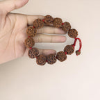 5 Mukhi Rudraksha Bracelet -Nepali