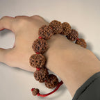 5 Mukhi Rudraksha Bracelet -Nepali