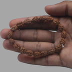 3 Mukhi Rudraksha Bracelet