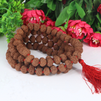 6 Mukhi Rudraksha Mala