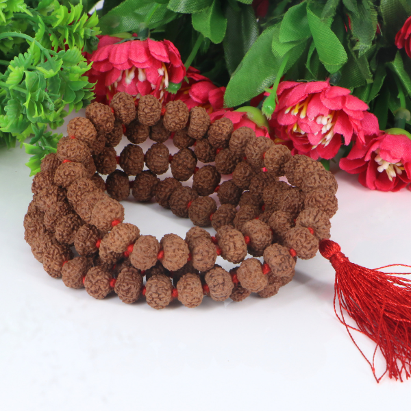 6 Mukhi Rudraksha Mala