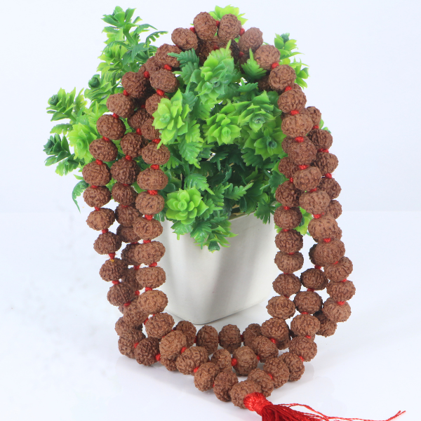 6 Mukhi Rudraksha Mala