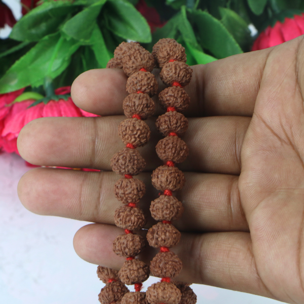 6 Mukhi Rudraksha Mala