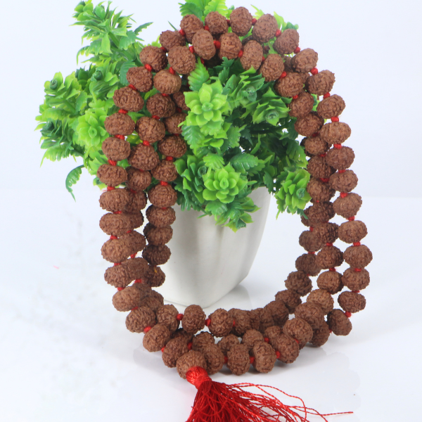 8 Mukhi Rudraksha Mala