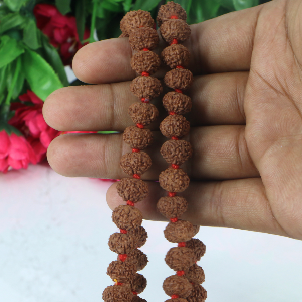 8 Mukhi Rudraksha Mala