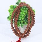 9 Mukhi Rudraksha Mala