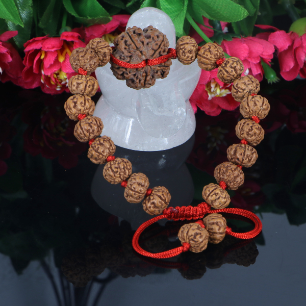 "Premium 5 Mukhi Rudraksha Bracelet with original Nepali and Indonesian Rudraksha beads, crafted for spiritual significance and traditional elegance."