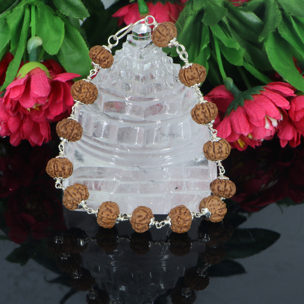 5 Mukhi Rudraksha Bracelet