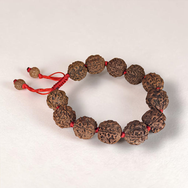 6 Mukhi Rudraksha Bracelet -Nepali