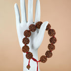 6 Mukhi Rudraksha Bracelet -Nepali