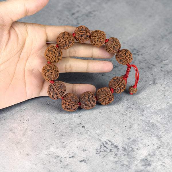 6 Mukhi Rudraksha Bracelet -Nepali