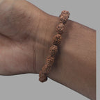 3 Mukhi Rudraksha Bracelet