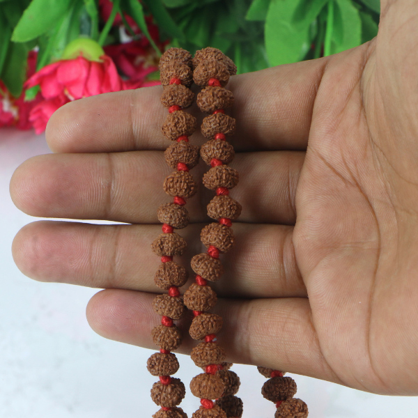 9 Mukhi Rudraksha Mala