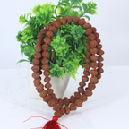 10 Mukhi Rudraksha Mala