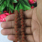 10 Mukhi Rudraksha Mala