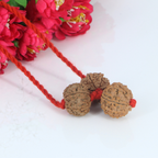 "Premium Business Rudraksha Kavach for Male with two original 7 Mukhi Rudraksha beads and one 8 Mukhi Rudraksha, crafted with spiritual significance and traditional elegance."
