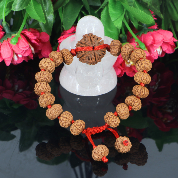 "Premium 6 Mukhi Rudraksha Bracelet with original Nepali and Indonesian Rudraksha beads, crafted for spiritual significance and traditional elegance."