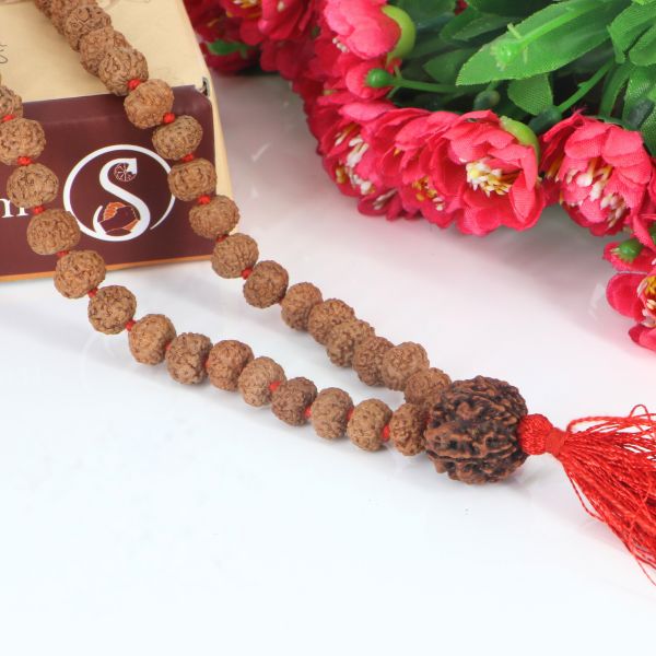 "Premium original 6 Mukhi Rudraksha Mala with 6 Mukhi Meru, crafted with authentic Rudraksha beads for spiritual significance and traditional elegance."