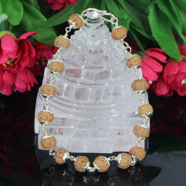 6 Mukhi Rudraksha Bracelet
