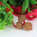 "Premium Business Rudraksha Kavach for Male with two original 7 Mukhi Rudraksha beads and one 8 Mukhi Rudraksha, crafted with spiritual significance and traditional elegance."