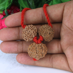 "Premium Business Rudraksha Kavach for Male with two original 7 Mukhi Rudraksha beads and one 8 Mukhi Rudraksha, crafted with spiritual significance and traditional elegance."