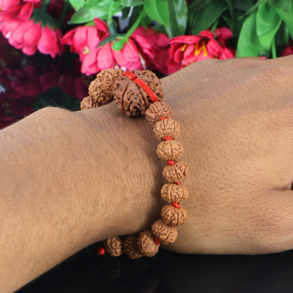 "Premium 6 Mukhi Rudraksha Bracelet with original Nepali and Indonesian Rudraksha beads, crafted for spiritual significance and traditional elegance."