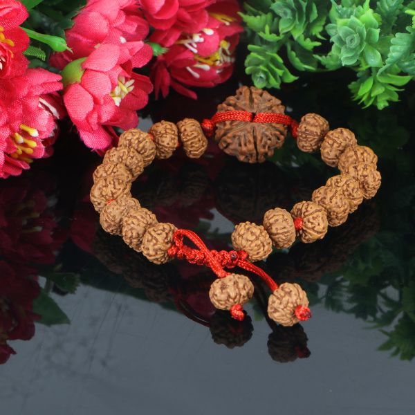 "Premium 6 Mukhi Rudraksha Bracelet with original Nepali and Indonesian Rudraksha beads, crafted for spiritual significance and traditional elegance."