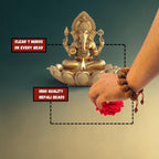 7 Mukhi Rudraksha Bracelet with 12 Genuine Nepali Beads - Government Lab Certified | Sanklp